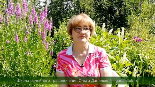 О, Зверобой! смотреть онлайн