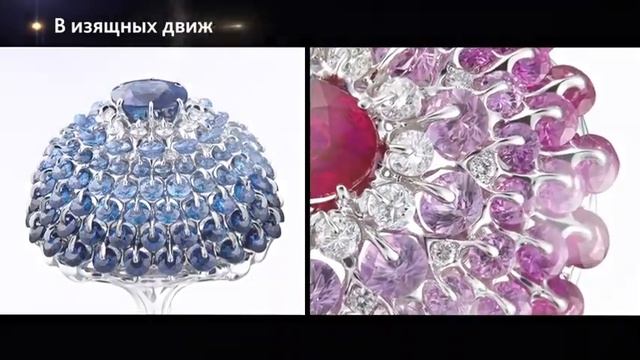 MOISEIKIN 25 ЛЕТ смотреть онлайн