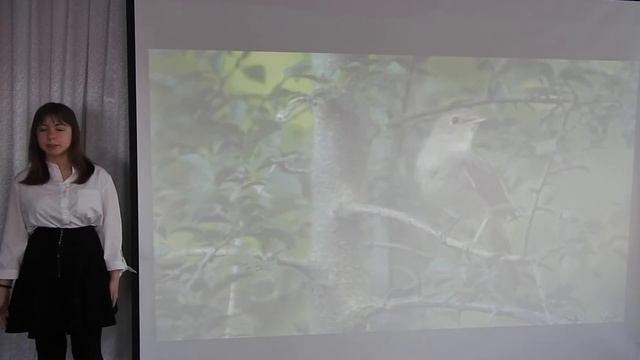 Авторское стихотворение. Нагимова Сабина, ученица 6 класса. смотреть онлайн