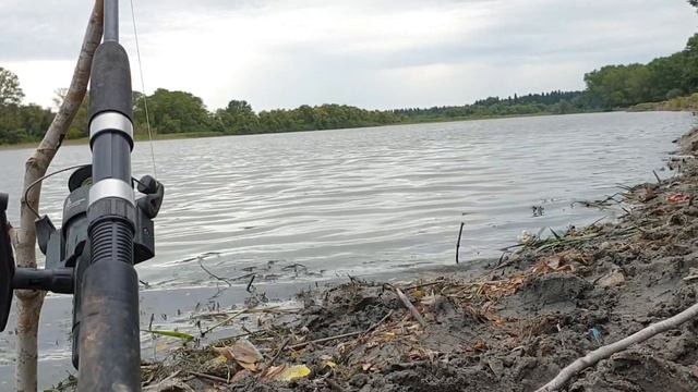 Знакомые поймали огромную рыбу,или мы ничего не поймали!))