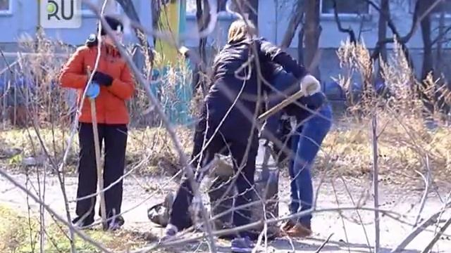 Субботник–2017. Курганские чиновники взяли в руки метлы и грабли смотреть онлайн