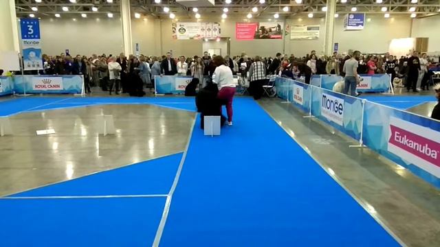 Евразия 2019 - ринг 3 смотреть онлайн