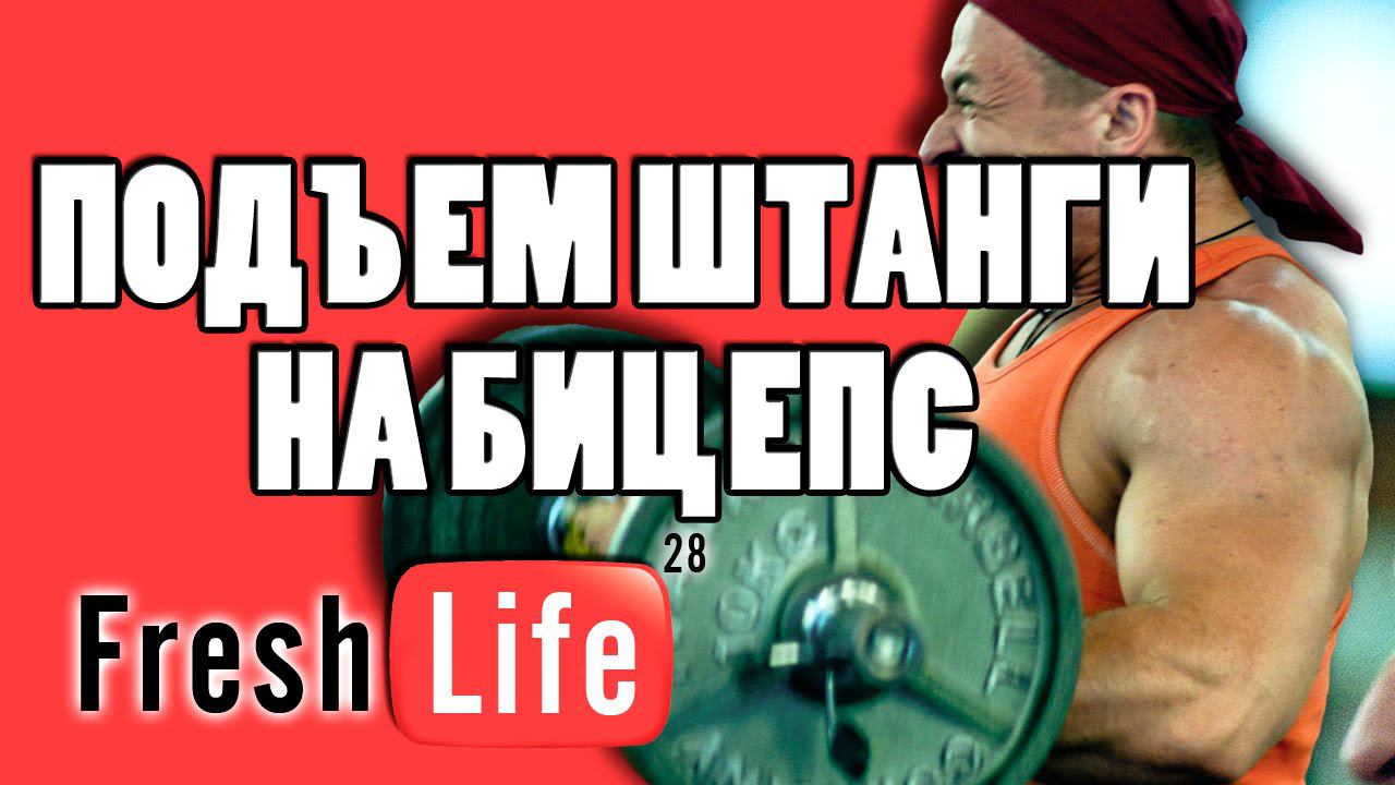 подъем штанги на бицепс | техника упражнений