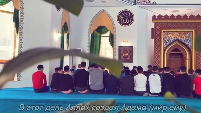Грозный школа Хафизов смотреть онлайн