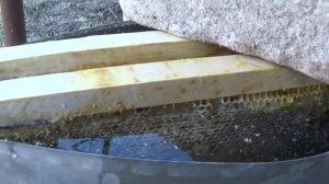 ПРОШЛОГОДНИЙ МЁД в рамках избавиться ЛЕГКО ( закристаллизованный мёд в сотах) самый простой вариант