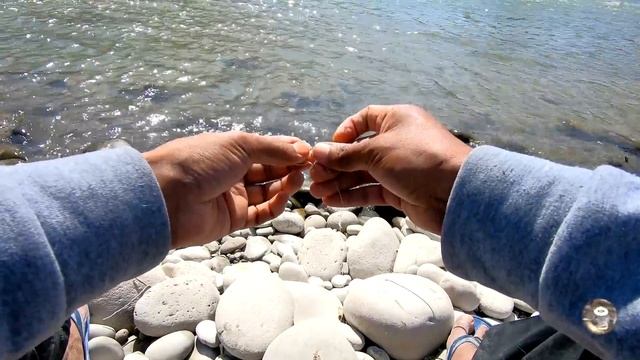 PESCA De Tilapias Con La Mejor Carnada De Agua Dulce  ||  What Bait To Use For Tilapia.