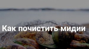 Как чистить мидии.