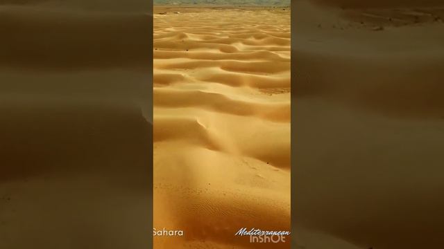 Эй сорбон/Ei sorbon. смотреть онлайн