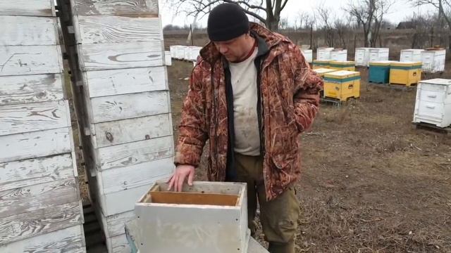 Как можно увеличить пасеку не покупая пчелопакеты. Краткое описание работы с шестирамочником. смотреть онлайн