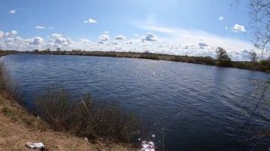 Сырть, Вимба, Рыбец. Рыбалка на реке Луга. Кингисеппский район.