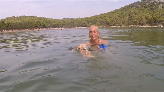 GoPro Hero 4 Black Chihuahua is swimming in the sea смотреть онлайн
