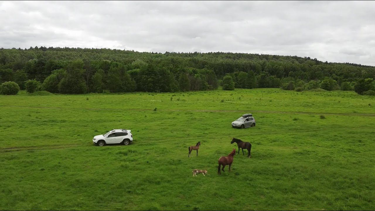 Ловля Леща на Донки.Летняя рыбалка на Леща.Монтаж на Леща.Ловля Берша и Судака на тюльку.Лето2022