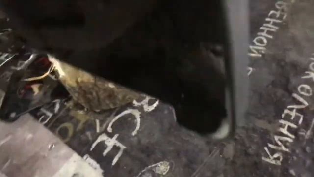 Замена сцепления на Ниссан х-трейл смотреть онлайн