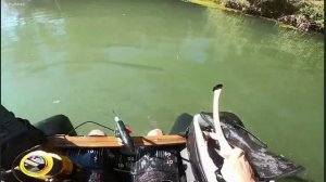 Рыбалка на речных монстров - ОГРОМНЫЕ сомы