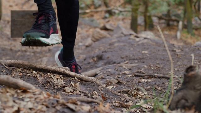 Nike Pegasus Trail 3 GORE-TEX Running Shoe смотреть онлайн