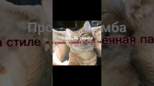 29 августа 2023 г. смотреть онлайн