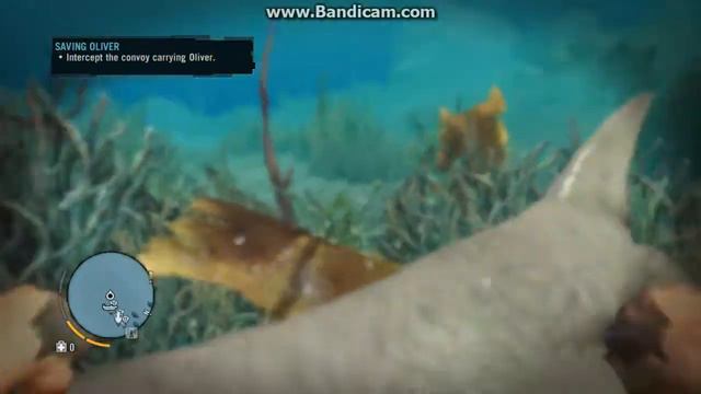 Where to find The Rare Maneater Shark (map at the end) смотреть онлайн