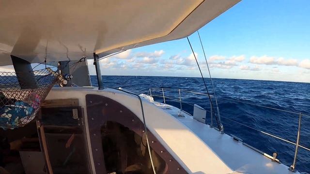 Old cats perform best? смотреть онлайн