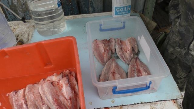 Как посолить донскую селедку. Три способа на Ваш выбор. смотреть онлайн