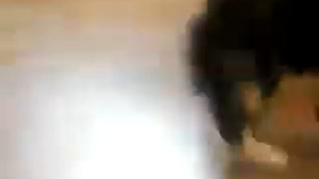 котенок испугался! смотреть онлайн