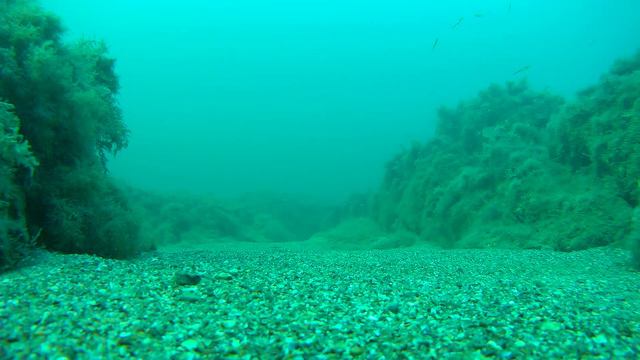 Теплый мутный август Черного моря. Мелководье. смотреть онлайн