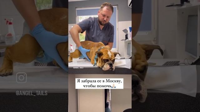 Фиона жертва черных разведенцев смотреть онлайн