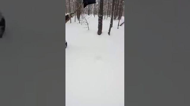 Охота на тетеревов с лопатой на лунках )))) Пусть спят остальные)))) смотреть онлайн