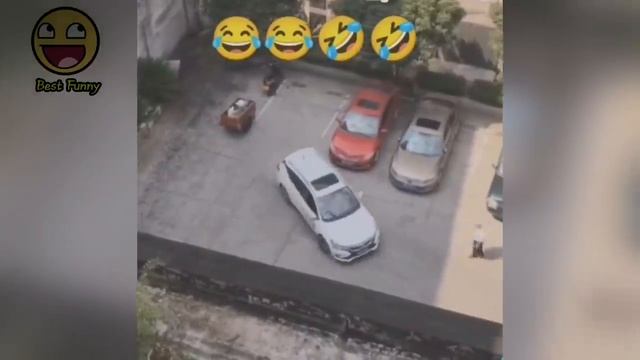 Funny video ? best video very funny. смотреть онлайн