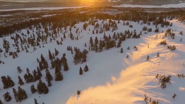 Январский лес смотреть онлайн