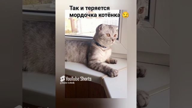 2 месяца -11 месяцев.mp4