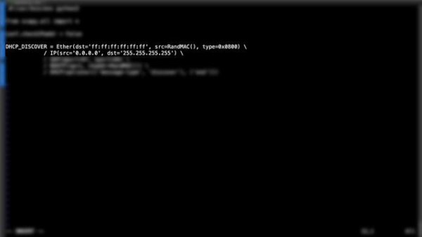 Creating a Python DHCP Client to Test DHCP Responses on the Network