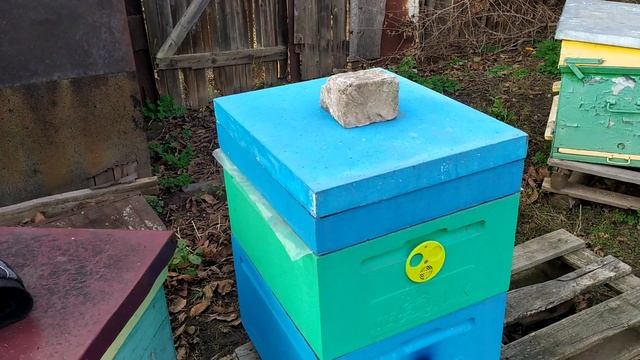 ПЧЁЛ МАЛО КАК ЗИМОВАТЬ