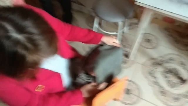 Кот идёт за хлебом смотреть онлайн