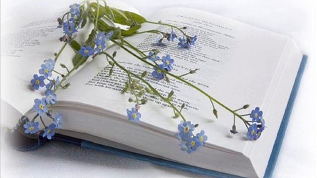 Хасан Туфан «Кайсыгызның кулы җылы». смотреть онлайн