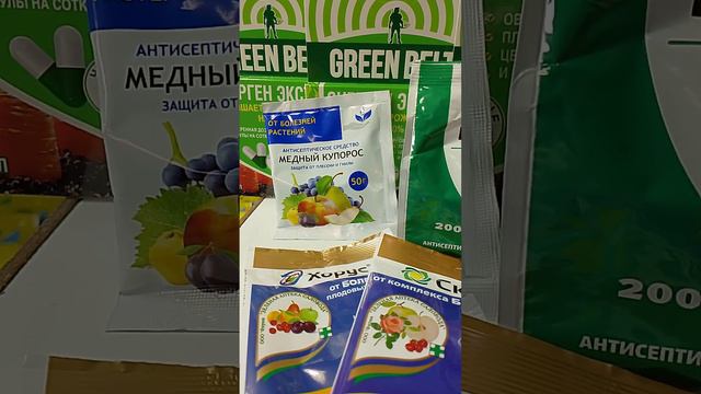 Ответы в секунду