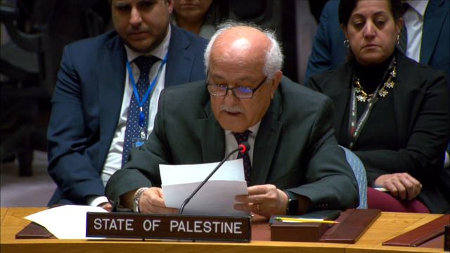 🇵🇸 Ambassador Riyad Mansour {AR} смотреть онлайн