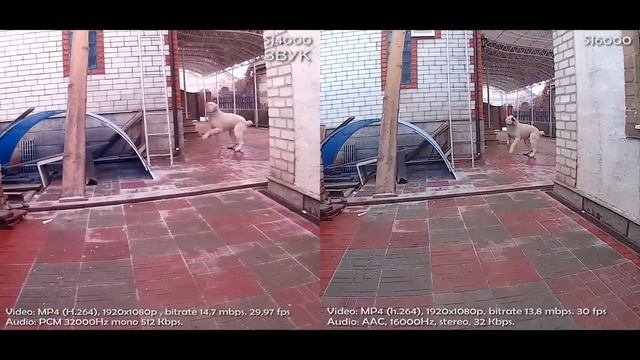 SJ4000 VS SJ6000 - Битва китайских экшн-камер! Кто лучше? SJ4000 VS SJ6000 - EPIC BATTLE смотреть онлайн