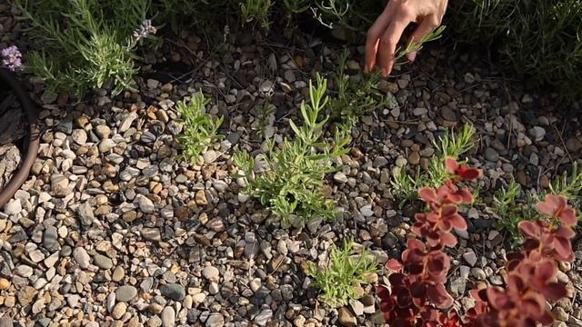 Делай Своими Руками