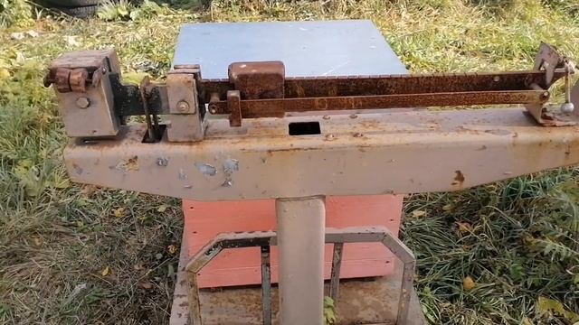 Борьба с мышами осенью на пасеке. Обработка от клеща.