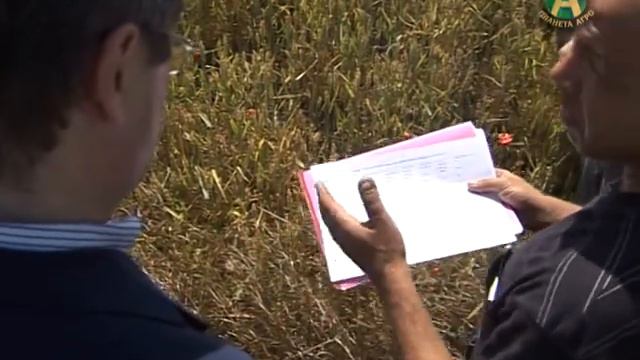 Планета Агро Кутыгин в Ейском районе смотреть онлайн