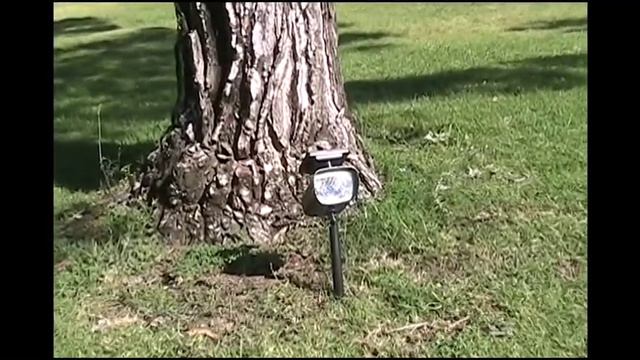 Solar Spot Light смотреть онлайн