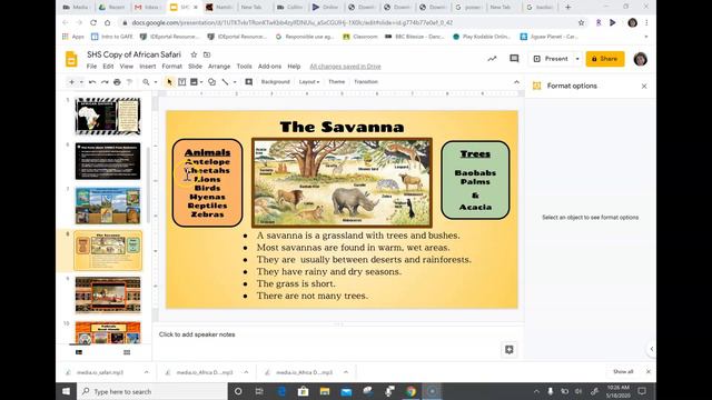 savannas смотреть онлайн