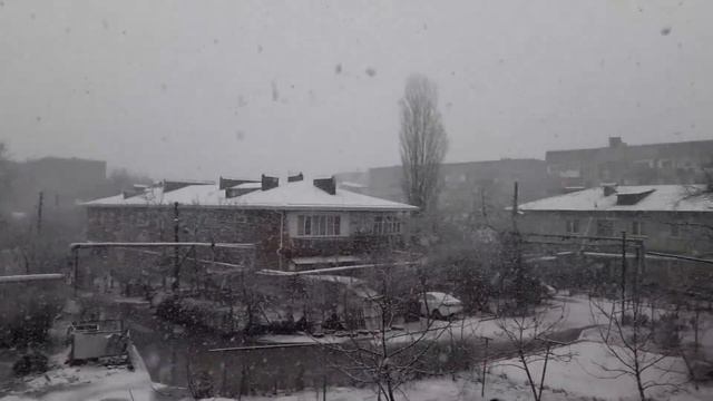 #адыгея #прошёл #снег 18 01 2022 смотреть онлайн
