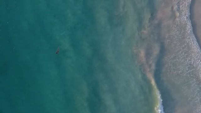 02 июля: Поздравляю, Вы Король Бубен! смотреть онлайн