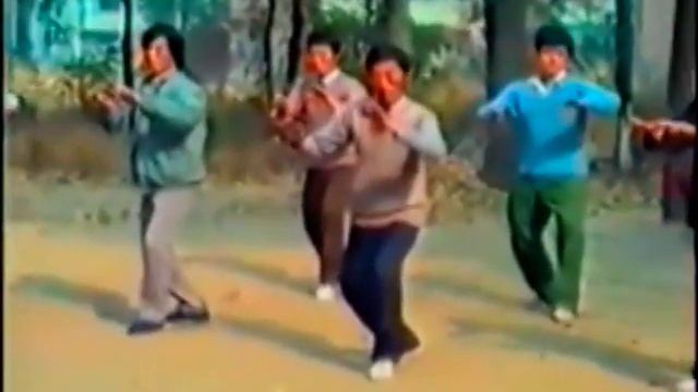 Традиционное ушу Даченцюань Мастера Ван Енсяна смотреть онлайн