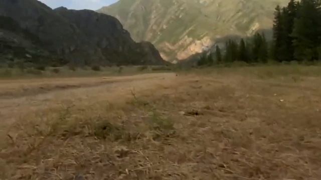 Горы Алтая 2023 , видео от Елизаветы смотреть онлайн
