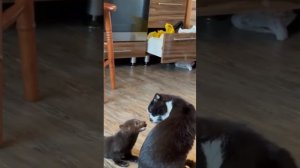 2024-03-10T19:03:02.880Z