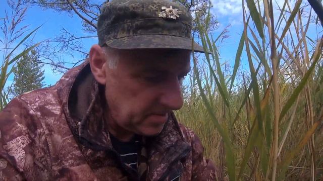 клюква на болоте смотреть онлайн