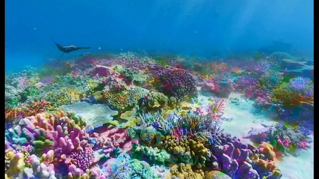 Cover на песню "Коралловые бусы" смотреть онлайн