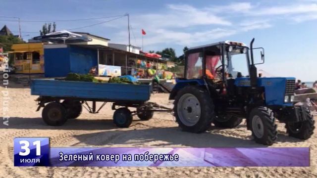 Зеленый ковер на побережье смотреть онлайн